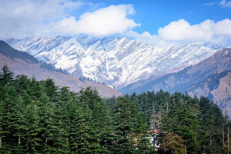 Narkanda Adventure Retreat 2Nights 3Days
