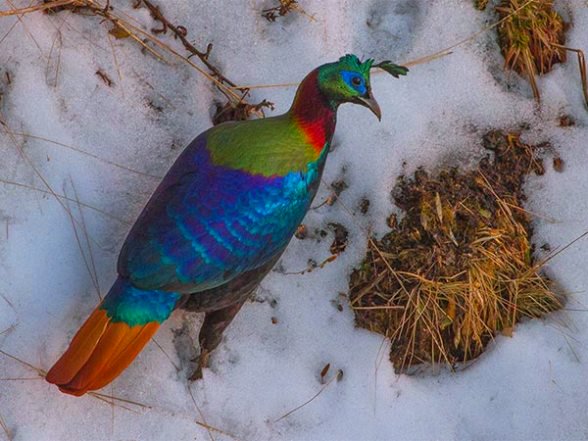 Govind Wildlife Sanctuary